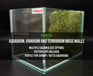 Freshwater Aquarium Moss Wall | Multiple Sizes + Colours | Perfect for Shrimp - Picture 1 of 12