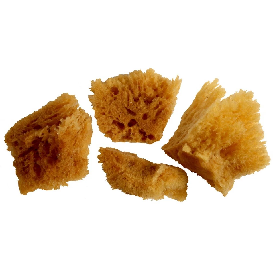 JUEGO ESPONJA AMARILLA Foto 1 de 1