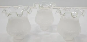 3 Replacement Frosted Clear Glass Tulip Petal Vine Fixture Lamp Shades 1-3/4" - Picture 1 of 11