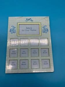 Baby’s 1st Year Photo Frame Blue Plaid 12 Month Memory Collage 8.5x11 - Picture 1 of 3