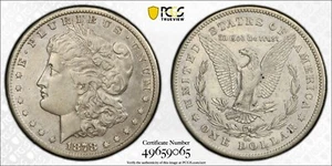 1878 CC CARSON CITY Morgan argento $ 1 dollaro PCGS pulito-dettagli XF-SCUDO ORO - Foto 1 di 5