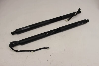 Juego de controladores de husillo de puntal de puerta levadiza trasera para maletero BMW OEM F34 328i GT 2014-2019 Foto 1 de 4