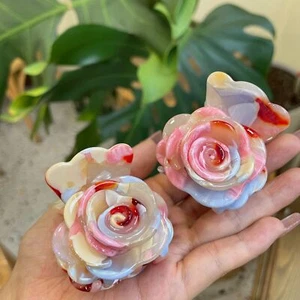 Flower Hair Clip Acetate Petal Claw Clip Cute Floral Ponytail Hair Accessory - Picture 1 of 4