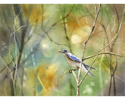 Colorful watercolor painting songbird branch housewarming gift handmade (print) - Image 1 of 4