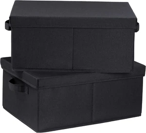 Storage Bins with Lids for Organizing, Pack of 2, Storage Boxes with 2 Carrying - Picture 1 of 7