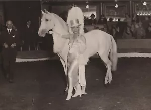 1929 Pressefoto Tänzerin, Schauspielerin Edmonde Guy mit weißem Pferd im Cirque of Paris - Bild 1 von 2