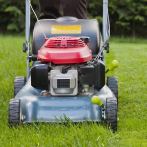 10kg Fast Grass - Grass Seed - Fast growing & easy to maintain - by Lawn UK - Picture 1 of 2