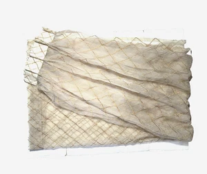 2 Custom Pinch Pleat Drapes Ivory Gold Sheer Organza Silk Curtains Panels Luxury - Picture 1 of 6
