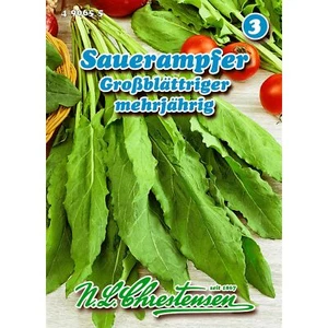 Großblättriger Sauerampfer Rumex Chrestensen Saatgut - Bild 1 von 2