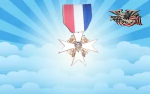 USA American Hero Eagle Freedom Patriot Merit Service Award Medal Badge Pin Vet - Picture 1 of 2