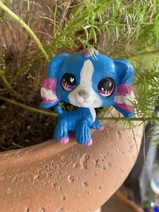 Littlest Pet Shop/LPS blau rosa und weiß Hund entzückend EICHE maßgeschneidert handbemalt - Bild 1 von 12