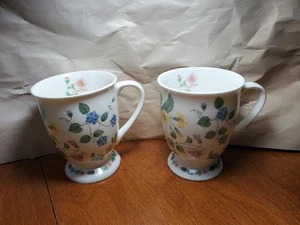 Elizabethan Fine Bone China Floral County Meadow Kaffee Tee Becher Tasse 2er Set - Bild 1 von 6