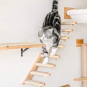 Kletterwand Katzen Katzentreppe Wand Wandliege Katzen aus Massivholz & Juteseil - Bild 1 von 11