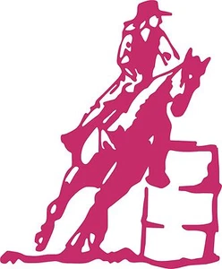 Horse Barrel Racing Rodeo Cowboy Cowgirl Vinyl Decal sticker Car Truck Window - Picture 1 of 2