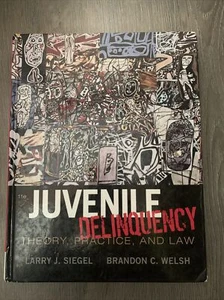 Juvenile Delinquency: Theory, Practice, and Law USED GOOD CONDITION - Bild 1 von 3