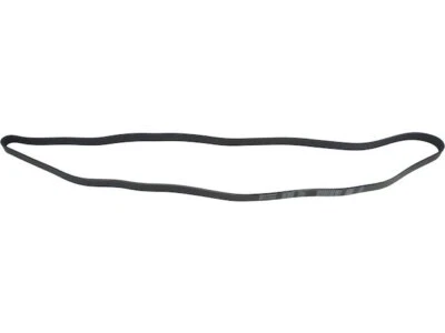 Para Nissan Pathfinder 2005-2012 Multi Rib Belt transmisión principal API 67443XB 2007 2006 Foto 1 de 2