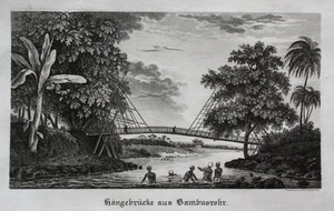 1830 Suspension Bridge Bamboo Steel Engraving - Picture 1 of 1