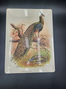 Pottery Barn Peacock Tray Melamine 15 1/2” X 11 3/4” - Picture 1 of 10