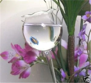 10 Stück Große Durstkugel Gießkugel Bewässerungskugel Durstkugeln Top Qualität - Bild 1 von 2