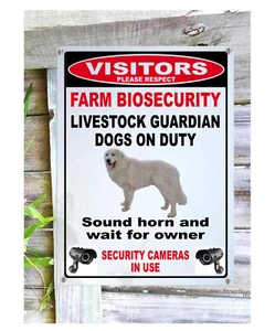 Maremma sheep dog livestock guardian sign with cctv - Picture 1 of 2