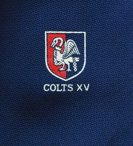 Colts XV vintage tie Rugby Football Buckingham chained swan youth sport RUFC - Picture 1 of 3