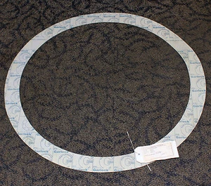 Junta de anillo Garlock 5500 24" #150 1/16" IFG5500-NOS - Imagen 1 de 2