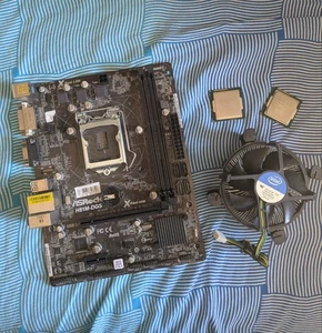Combo scheda ASROCK H81M-DGS LGA1150 + CPU PENTIUM G3450 / i3-4150 + DISSIPATORE - Zdjęcie 1 z 5