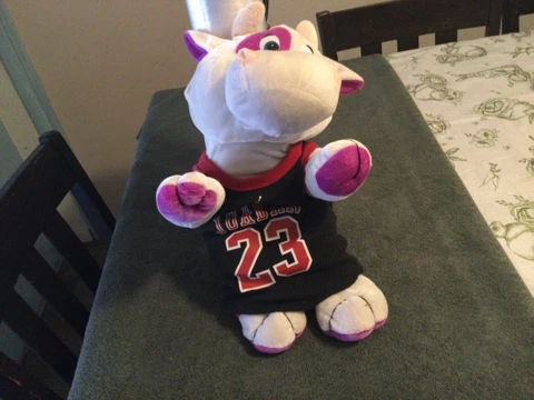 Chicago Bulls NBA Michael Jordan #23 Stuffed Bull Plush RARE? Free Shipping!Wow! Cover