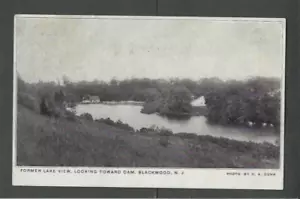 1910 Postkarte Schwarzholz NJ in der Nähe von Blick auf den See - Bild 1 von 1