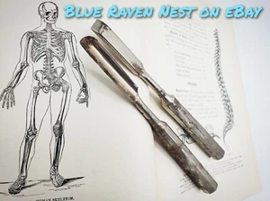 Vintage Antique Medical Surgical Forceps Instrument tool Two Bone Chisel 1900s  - Picture 1 of 12