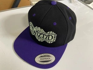 TWIZTID GLOW IN THE DARK BEETELJUICE LOGO SNAPBACK HAT NEW SIZE L/XL - Picture 1 of 3