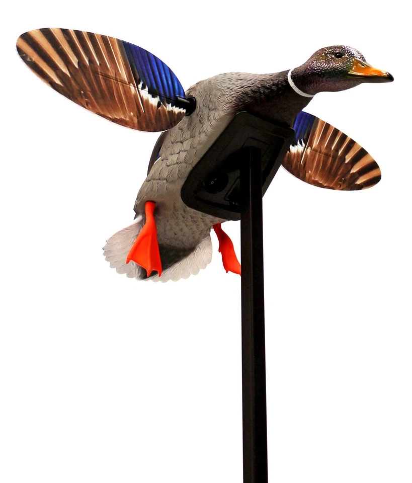 Mojo Outdoors HW24703P Elite Series Mini Mallard Drake Species Multi Color Plast - Image 1 of 1