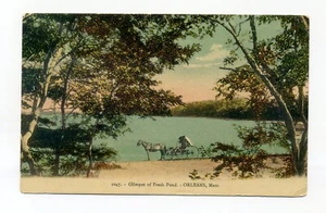 Orleans MA, caballo y buggy en la orilla del estanque fresco, postal - Imagen 1 de 2