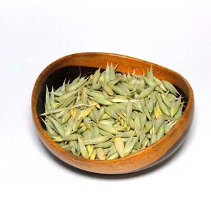 Oat Tops-Avena Sativa-Organic - Picture 1 of 1