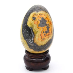 Bumblebee Jasper Egg - Bild 1 von 5