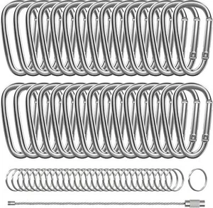 30 Pack 2 Inch Carabiner Clips D-Shape Spring Snap Keychain Hooks with Keyring - Picture 1 of 3