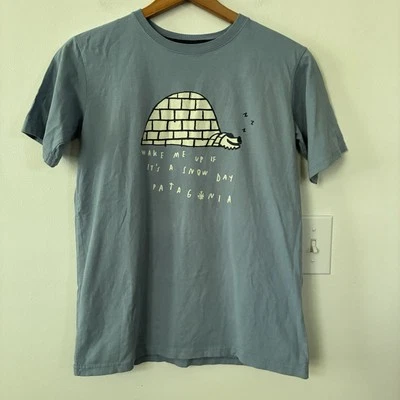 Camiseta PATAGONIA Niños Día de Nieve 16-18 XXL Azul Algodón Orgánico Gráfico Camiseta Top Foto 1 de 4