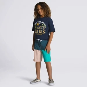 Vans NWT Boy's The Daily Halfsies 16.5" Boardshorts Size 28/16 Beach Vacation - Picture 1 of 6