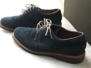 Land's End Blue Suede Wingtip Oxford Shoes 10 D Preppy Ivy league Brogue - Picture 1 of 7