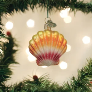Sunrise Shell Ornament - Picture 1 of 1