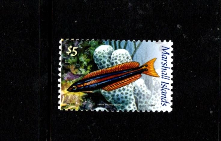 Marshall Islands 922 MNH FISH Blue Striped Blenny  Top Value    Nice Price - Image 1 of 1