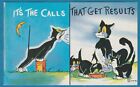 BD PC/it's the calls that get results/male cat appelant femelle chat/chatons