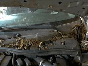 04 05 06 07 08 09 NISSAN QUEST Wiper Arm - Bild 1 von 1