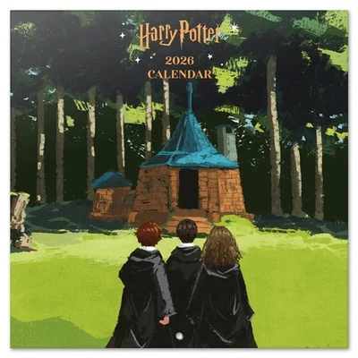 Calendrier mural Erik, Harry Potter 30x30cm (2026) - Photo 1/4