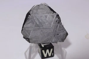 Muonionalusta etched meteorite full slice Weight 13.8 grams 1.25 inches - Picture 1 of 6