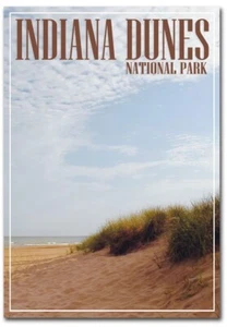 Indiana Dunes Nationalpark Kühlschrankmagnete Größe 2,5 Zoll x 3,5 Zoll - Bild 1 von 1