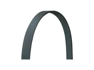 Main Drive Multi Rib Belt For 2013-2017 Lexus ES350 2014 2015 2016 NG611KG - Picture 1 of 1