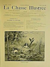 Hunting Dogs, Cocker Spaniel, Pheasant Hunt, 1901 French Antique Art Print