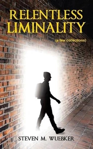 Relentless Liminality: (a few collections) by Steven M. Wuebker Hardcover Book - Picture 1 of 1