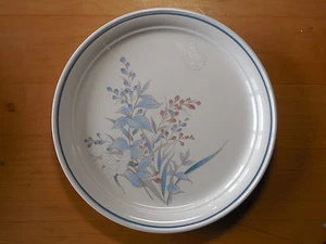 Noritake Keltcraft Misty Isle KILKEE 9109 Essteller 10 1/2" 3 verfügbar - Bild 1 von 5